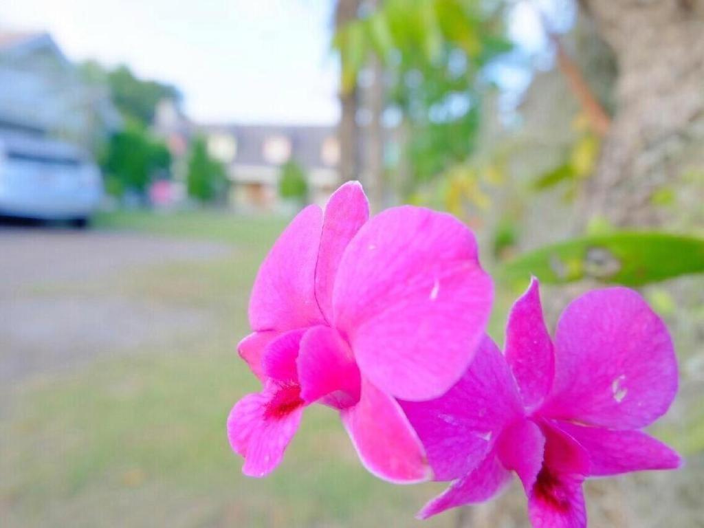 Charisma Resort Suan Phueng Zewnętrze zdjęcie
